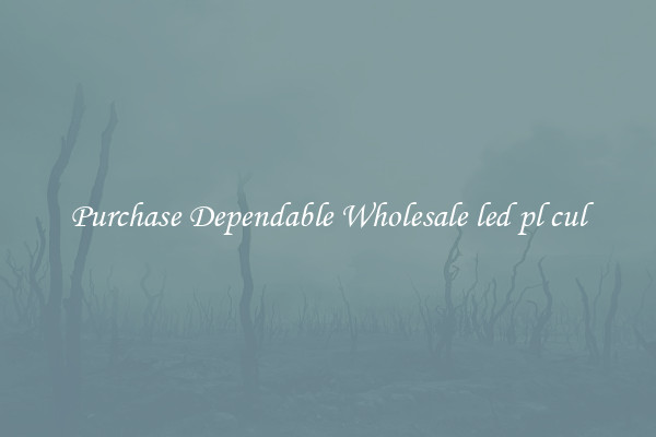 Purchase Dependable Wholesale led pl cul
