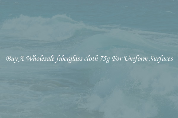 Buy A Wholesale fiberglass cloth 75g For Uniform Surfaces