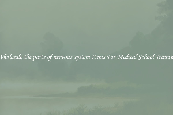 Wholesale the parts of nervous system Items For Medical School Training