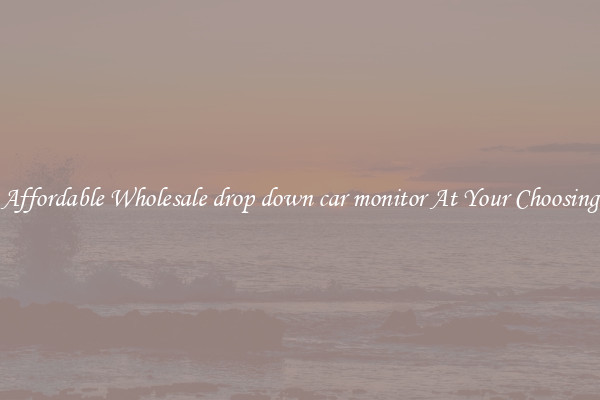 Affordable Wholesale drop down car monitor At Your Choosing