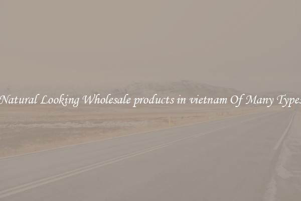 Natural Looking Wholesale products in vietnam Of Many Types