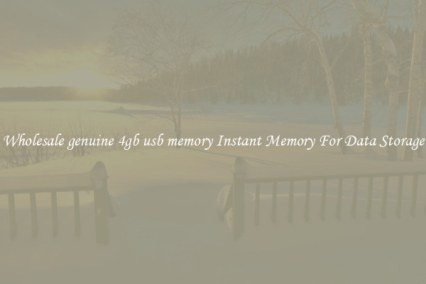 Wholesale genuine 4gb usb memory Instant Memory For Data Storage