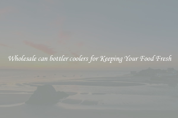 Wholesale can bottler coolers for Keeping Your Food Fresh