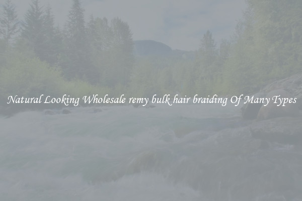 Natural Looking Wholesale remy bulk hair braiding Of Many Types