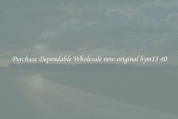 Purchase Dependable Wholesale new original bym13 40