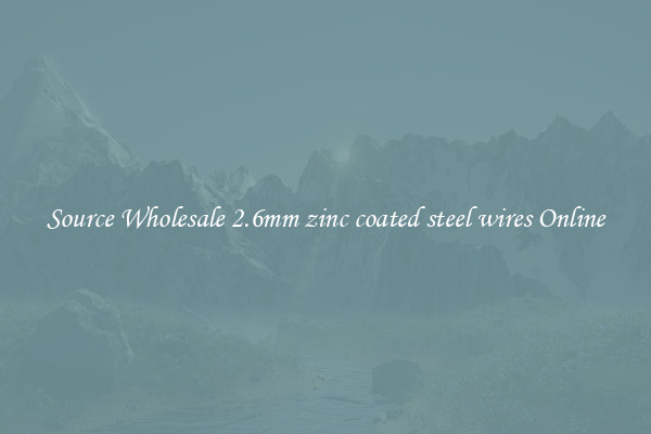 Source Wholesale 2.6mm zinc coated steel wires Online