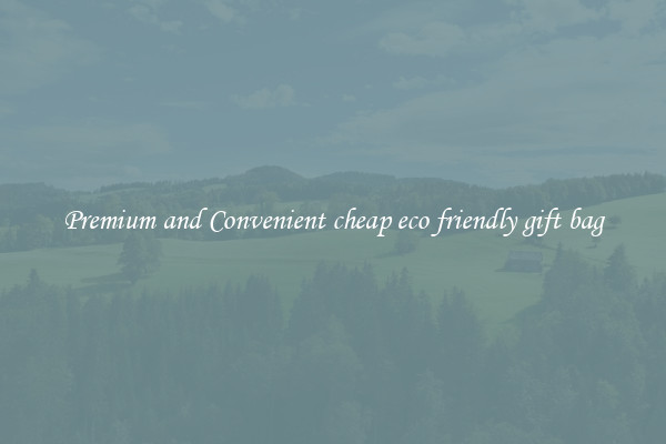 Premium and Convenient cheap eco friendly gift bag