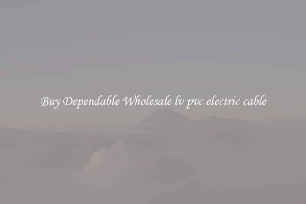 Buy Dependable Wholesale lv pvc electric cable