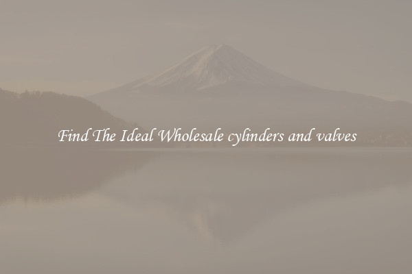 Find The Ideal Wholesale cylinders and valves
