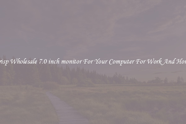 Crisp Wholesale 7.0 inch monitor For Your Computer For Work And Home