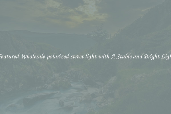 Featured Wholesale polarized street light with A Stable and Bright Light