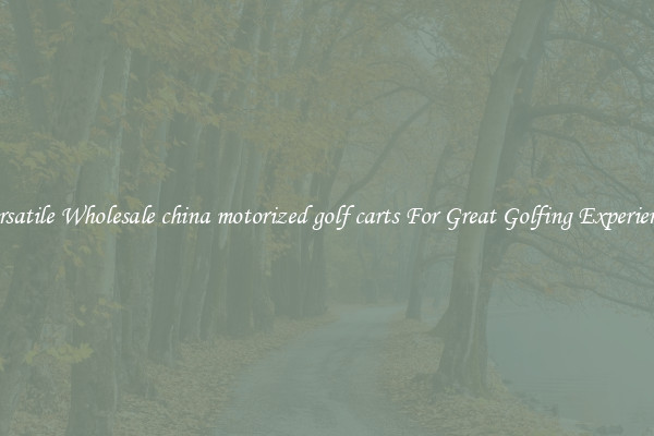 Versatile Wholesale china motorized golf carts For Great Golfing Experience 