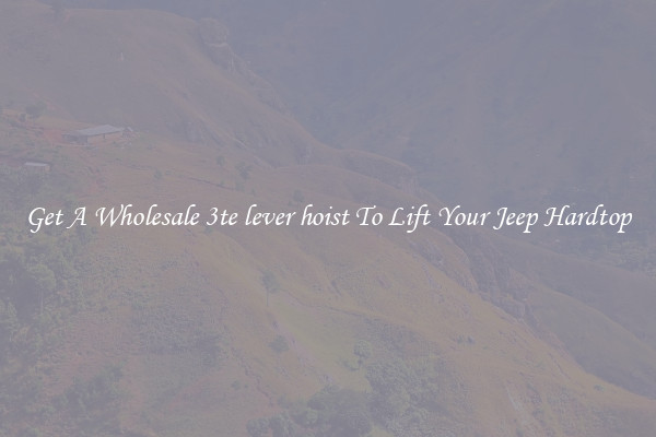 Get A Wholesale 3te lever hoist To Lift Your Jeep Hardtop