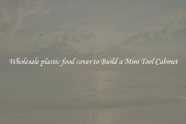 Wholesale plastic food cover to Build a Mini Tool Cabinet