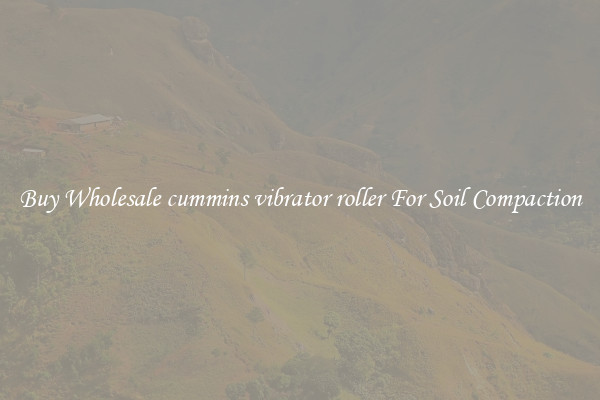 Buy Wholesale cummins vibrator roller For Soil Compaction