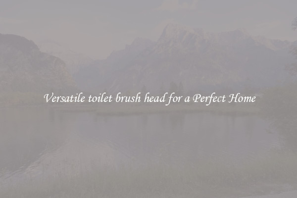 Versatile toilet brush head for a Perfect Home