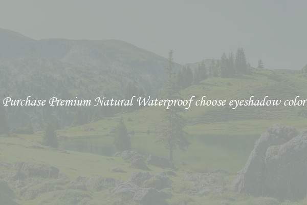 Purchase Premium Natural Waterproof choose eyeshadow color